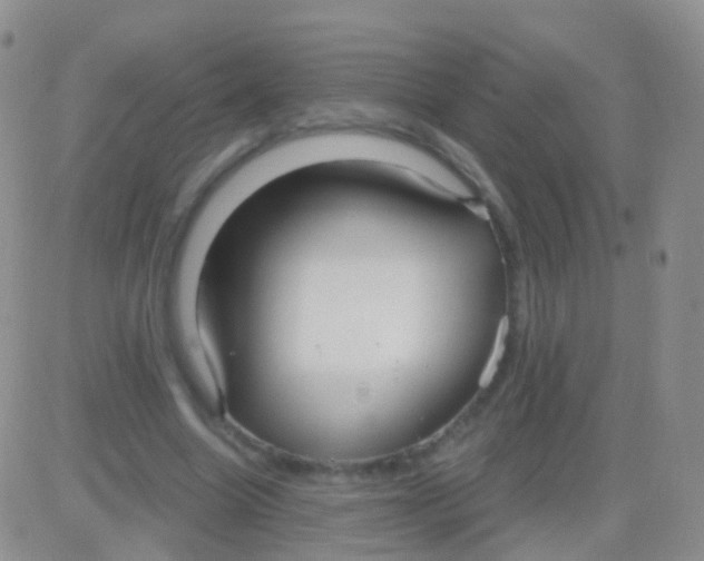 X0000083060538200702232024