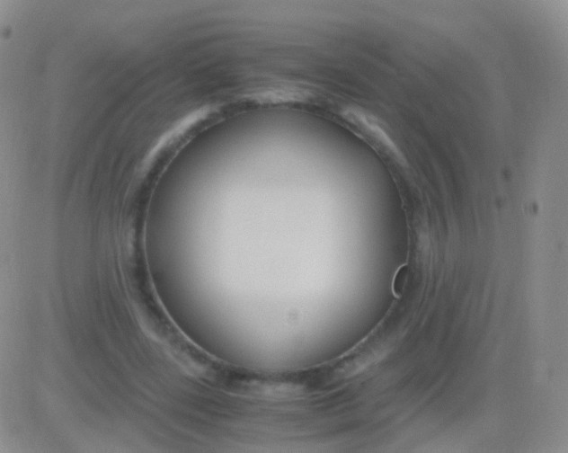 X0000083060539200702232024