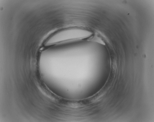 X0000083060540200702232024