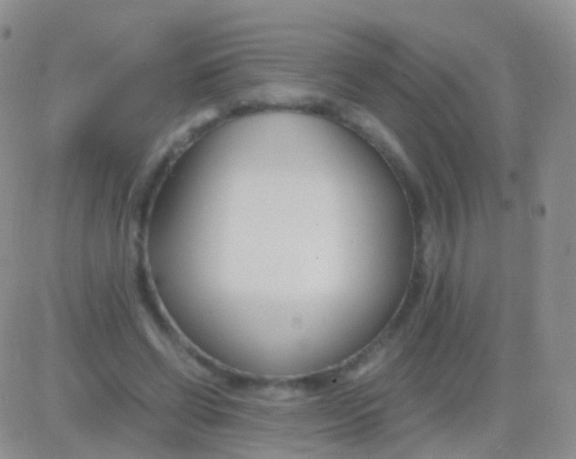 X0000083060542200702232024