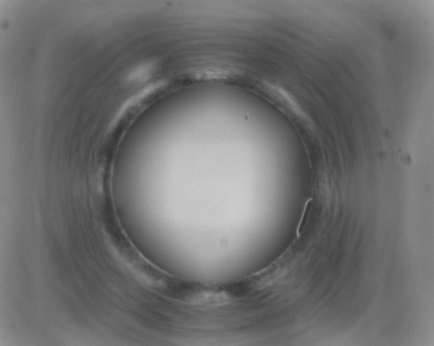 X0000083060543200702232024