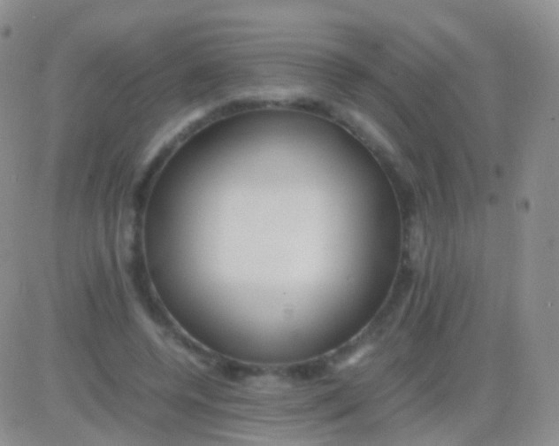 X0000083060544200702232024