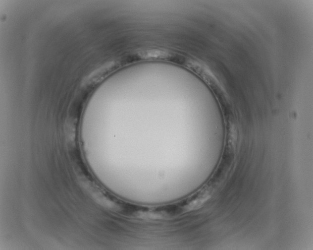 X0000083060545200702232024