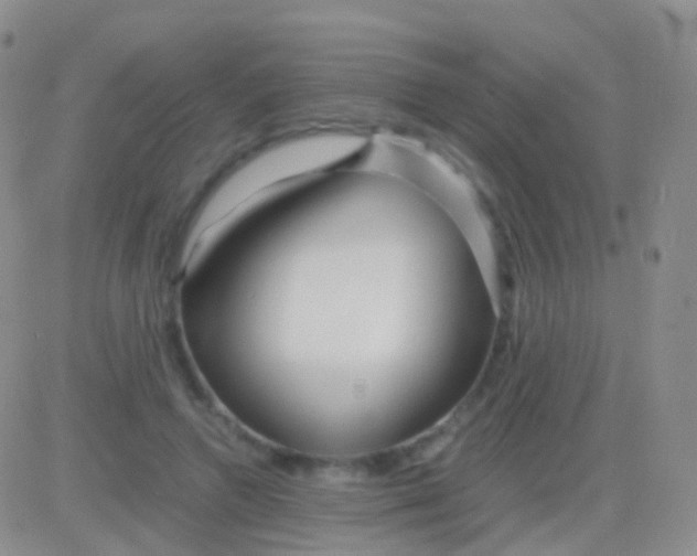 X0000083060546200702232024