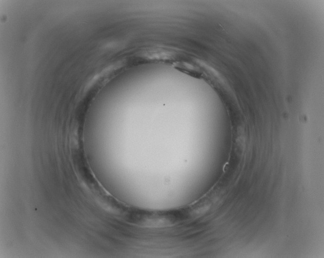 X0000083060547200702232024