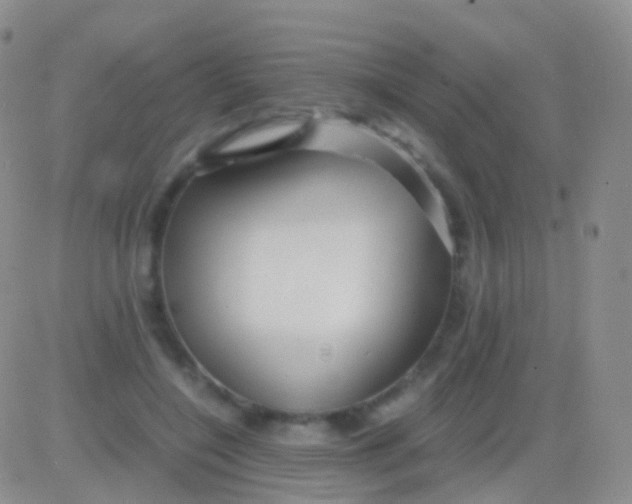 X0000083060548200702232024