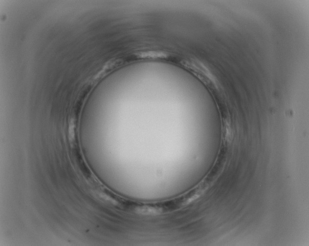 X0000083060549200702232024