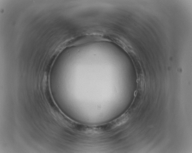 X0000083060550200702232024