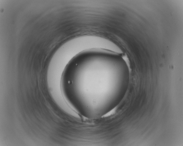 X0000083060552200702232024