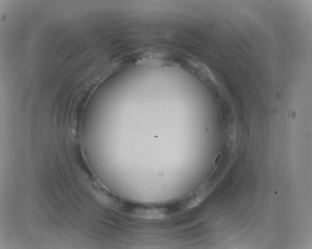 X0000083060553200702232024