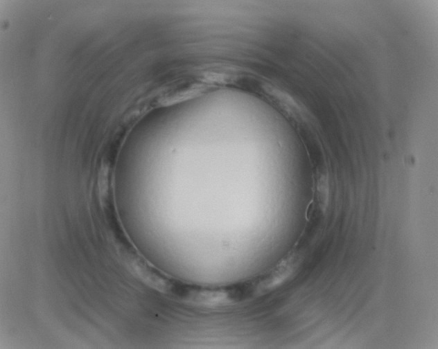 X0000083060554200702232024