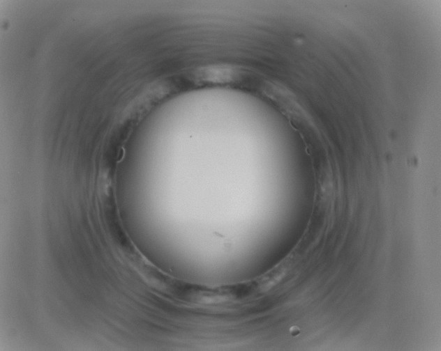 X0000083060555200702232024