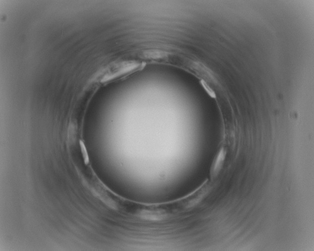 X0000083060556200702232024