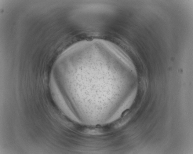 X0000083060557200702232024