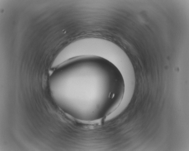 X0000083060558200702232024