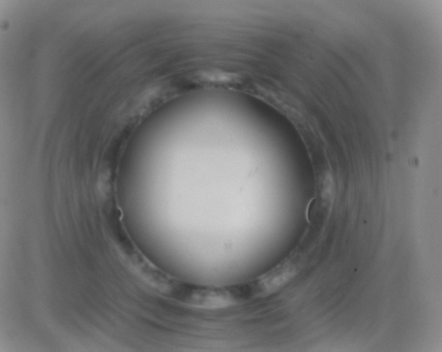 X0000083060559200702232024