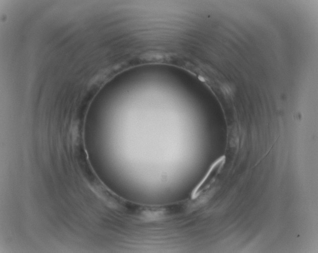 X0000083060560200702232024