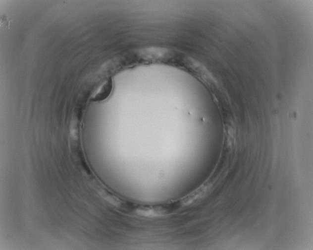 X0000083060561200702232024