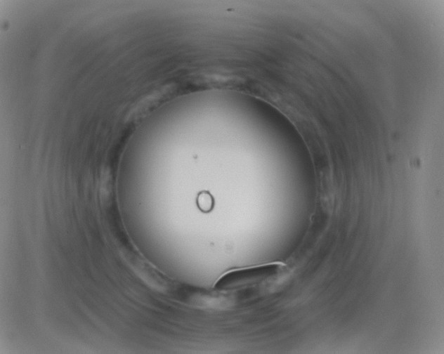 X0000083060563200702232024