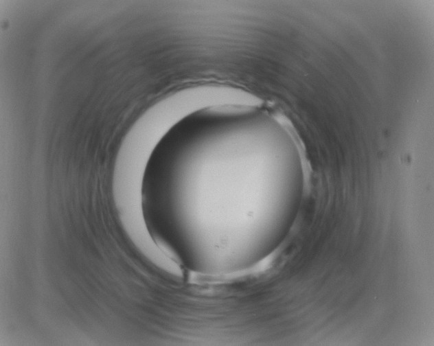 X0000083060564200702232024