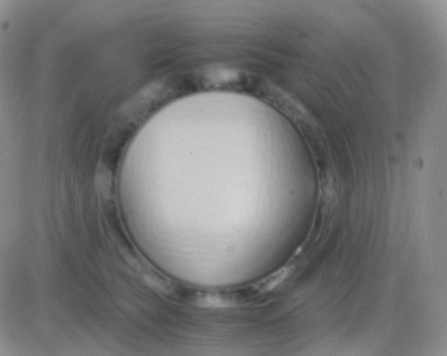 X0000083060565200702232024