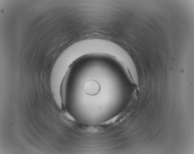 X0000083060566200702232024