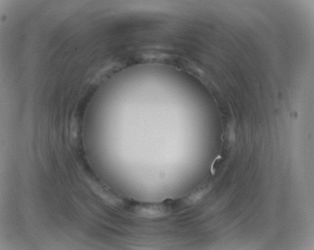 X0000083060567200702232024