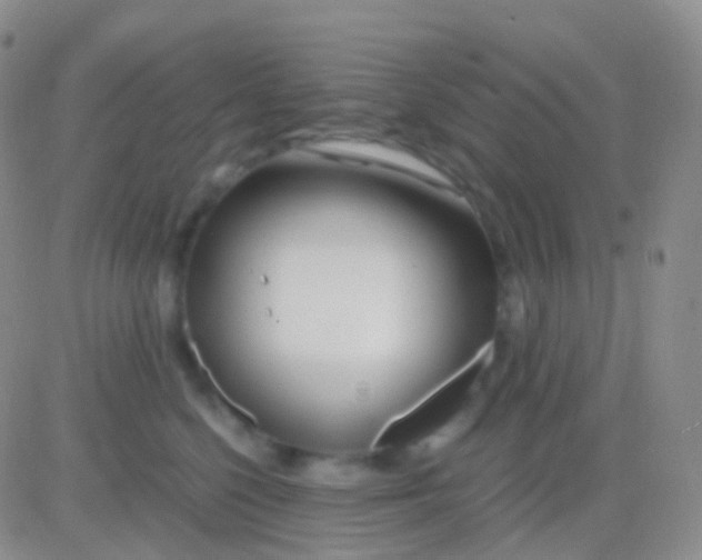 X0000083060568200702232024