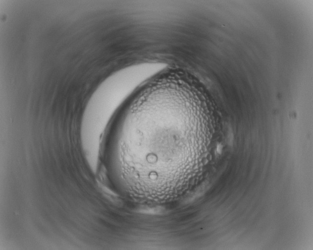 X0000083060569200702232024