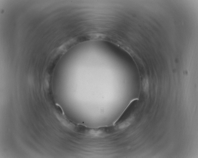 X0000083060570200702232024