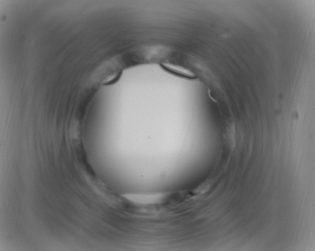 X0000083060571200702232024