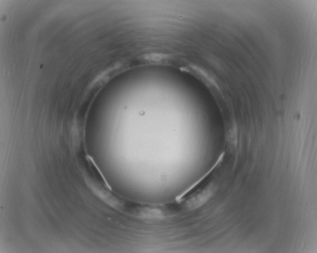 X0000083060572200702232024