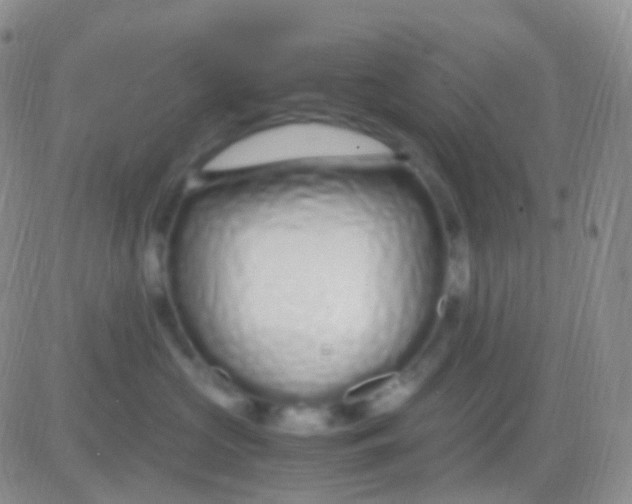 X0000083060573200702232024