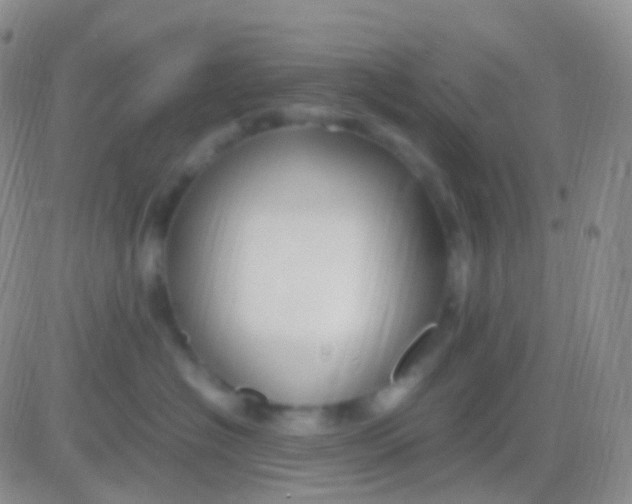 X0000083060574200702232024