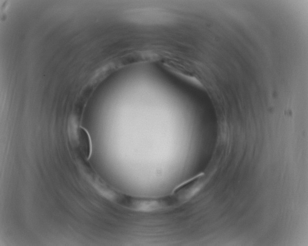 X0000083060575200702232024