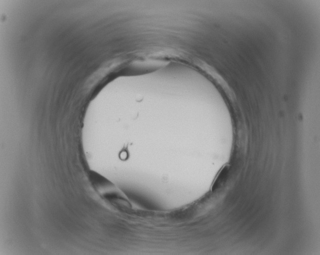 X0000083060577200702232023