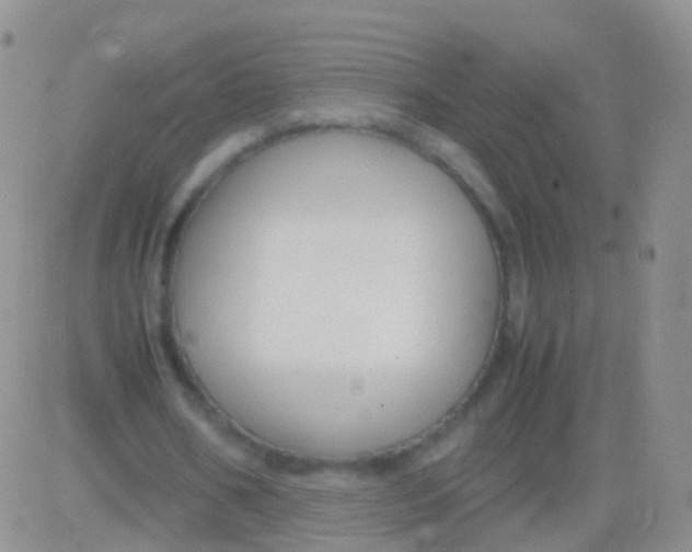 X0000083060578200702232023