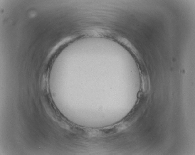 X0000083060579200702232023