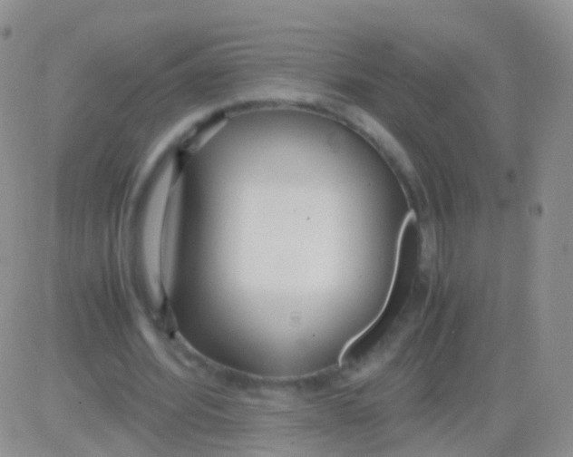 X0000083060580200702232023