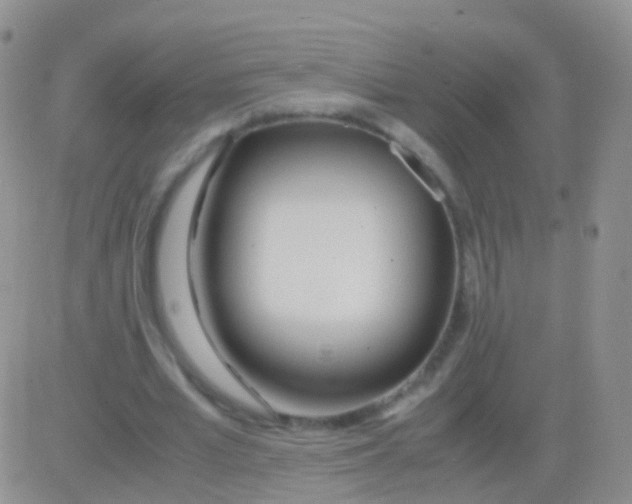 X0000083060581200702232023