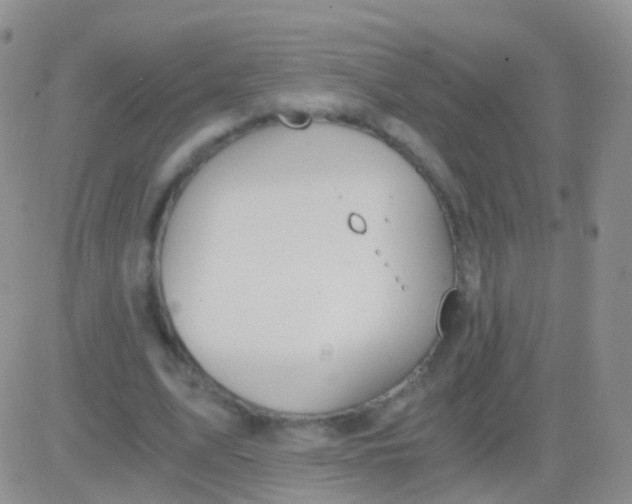 X0000083060583200702232023