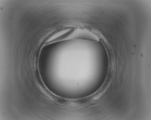 X0000083060585200702232023