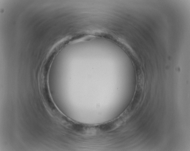 X0000083060587200702232023