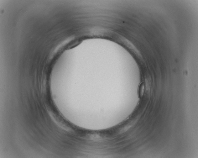 X0000083060588200702232023