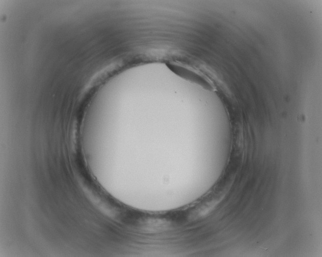 X0000083060590200702232023