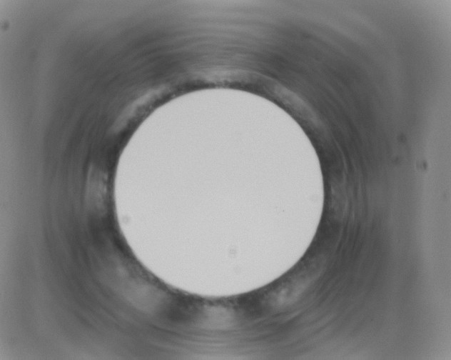 X0000083060592200702232023