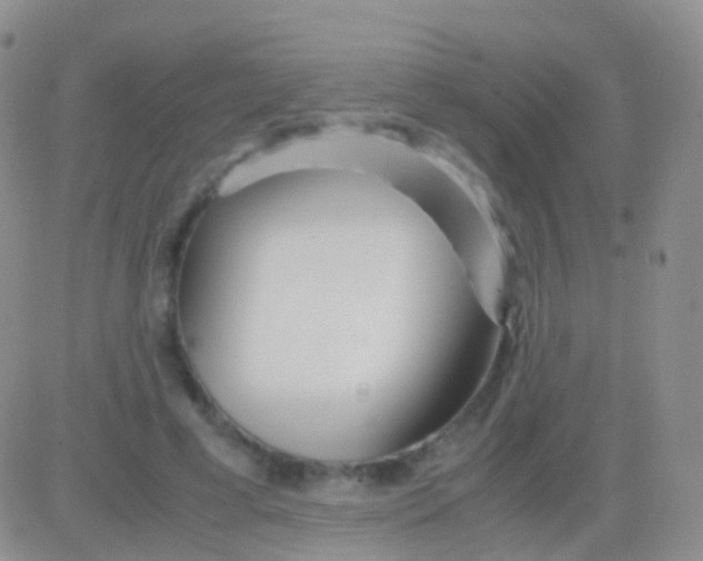 X0000083060593200702232023