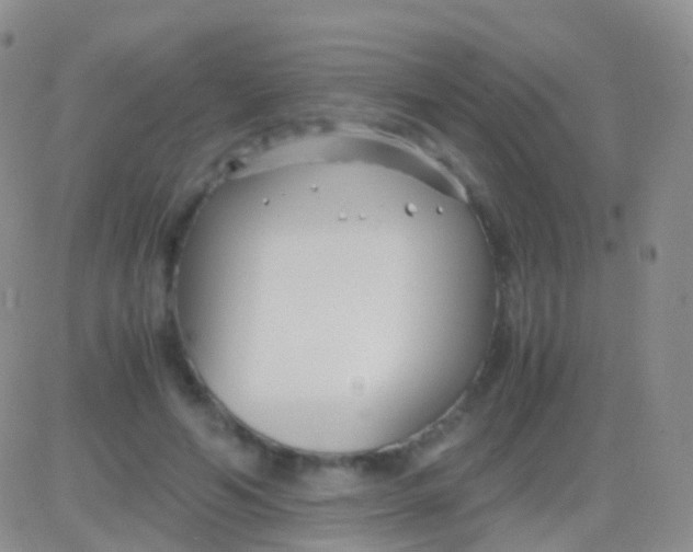 X0000083060594200702232023