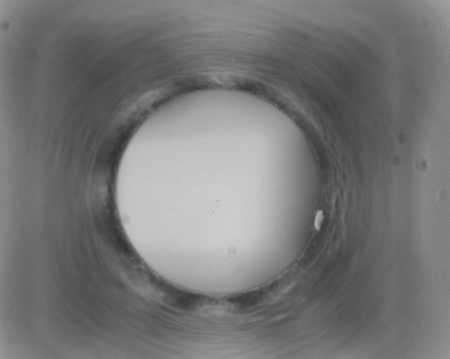 X0000083060595200702232023