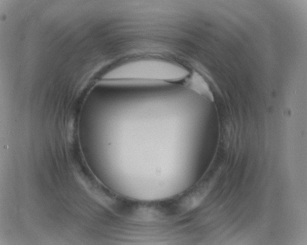 X0000083060596200702232023